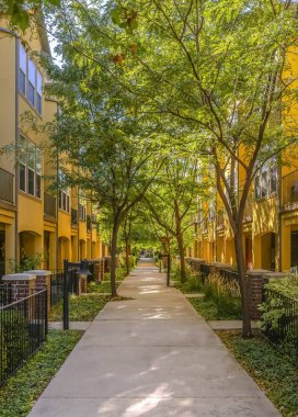 Yolu ile her iki tarafta renkli townhouses