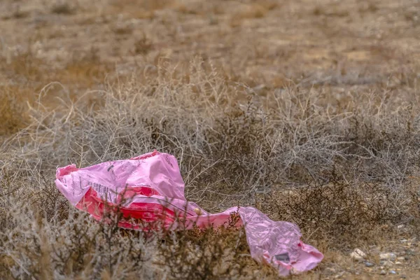 Plastic trash on a grassy ground in Utah Valley