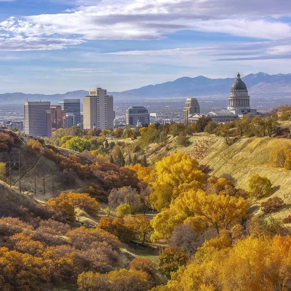 Fogliame caduta e vista del centro di Salt Lake City — Foto Stock