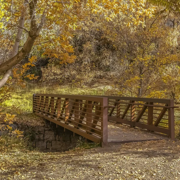 Brug en bomen met gele bladeren in de herfst — Stockfoto