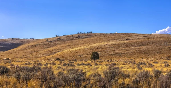 Bald Mountain hiking views on a sunny day in Utah — Stock Photo, Image