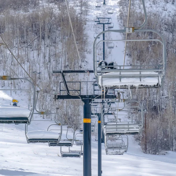 Λιφτ του σκι πάνω από ψάχνετε πίστα σκι και δέντρα στη Γιούτα — Φωτογραφία Αρχείου