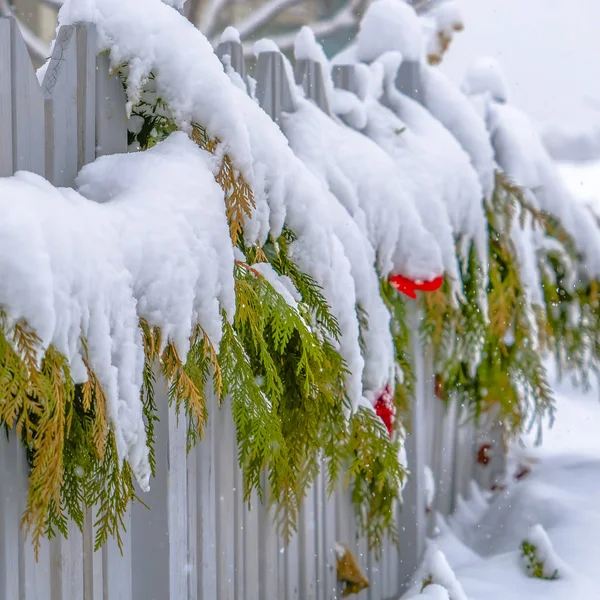 Snow covered garland on a fence in Daybreak Utah