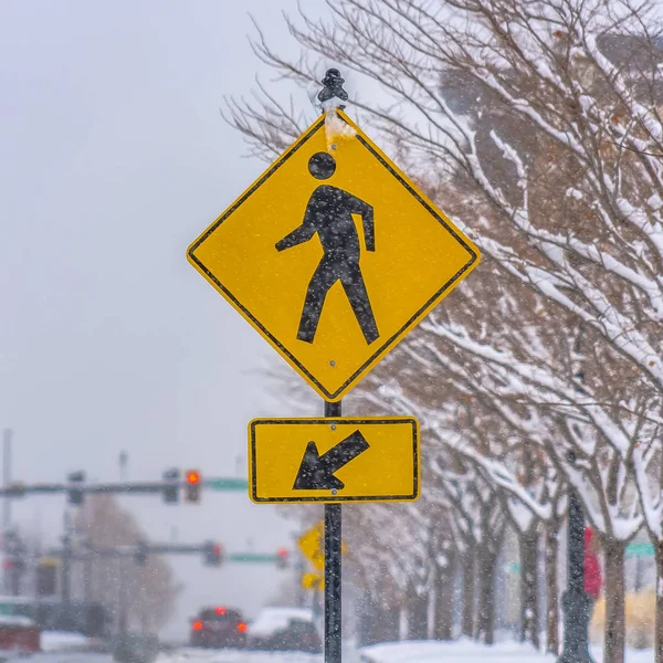 A pedestrian Crossing sign against snowy trees