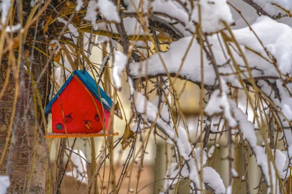 Casa en miniatura colgada de un árbol nevado sin hojas — Foto de Stock