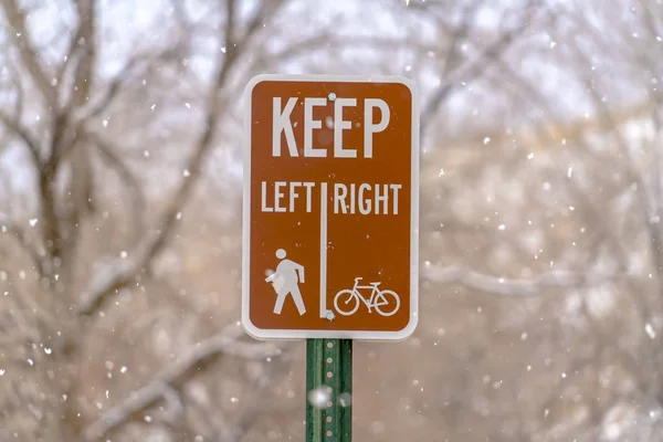 Keep Left Keep Right sign against trees and snow