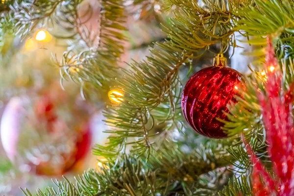 Zdobené vánoční strom výzdoba a osvětlení — Stock fotografie
