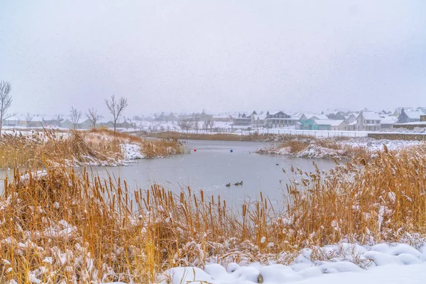 Orilla nevada de un lago y casas en Daybreak Utah — Foto de Stock