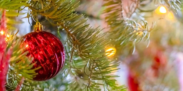 Pulzující červené cetka a osvětlení na vánoční stromeček — Stock fotografie