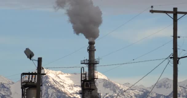Olie raffinaderij stoom uit toren ingezoomd — Stockvideo