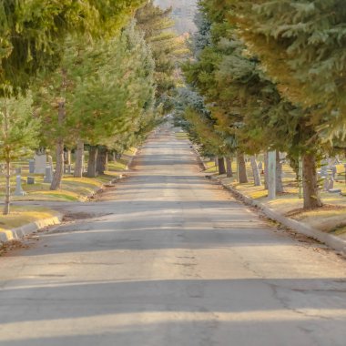 Salt Lake City Utah bir mezarlıkta güneşli yol