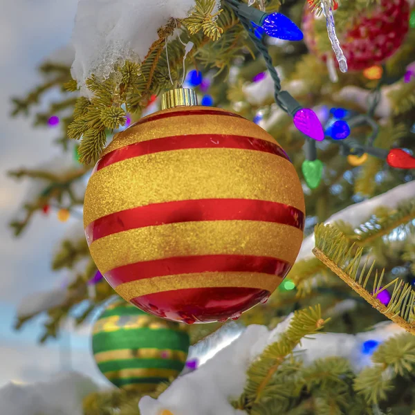 Baublesi a vánoční světla na zasněženém stromě — Stock fotografie