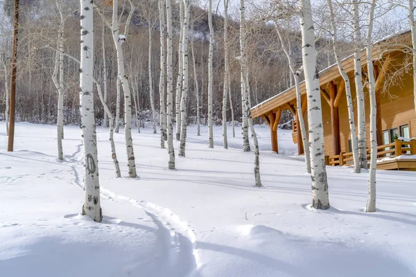 Cabin and trees on snowy mountain in Park City — Stock Photo, Image