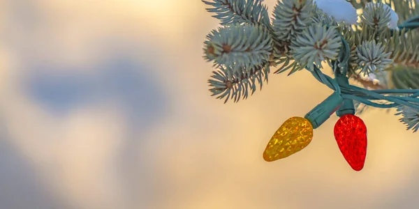 Červená a žlutá světla na vánočním stromku v Utahu — Stock fotografie