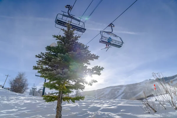 Boom onder skiliften tegen sneeuw en hemel in Utah — Stockfoto