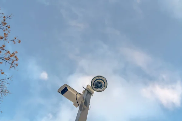 Überwachungskameras gegen wolkenlosen blauen Himmel und Baum — Stockfoto