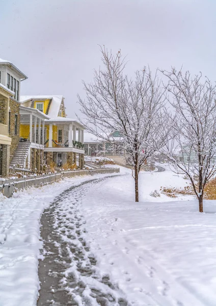 Camino en medio de terreno nevado frente a casas en Utah — Foto de Stock