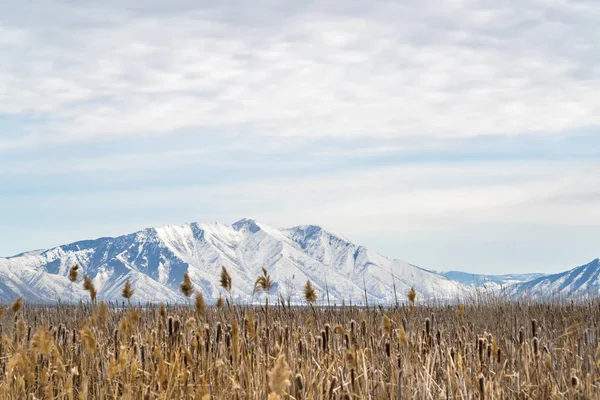Vasto terreno erboso contro una montagna accidentata coperta di neve in inverno — Foto Stock