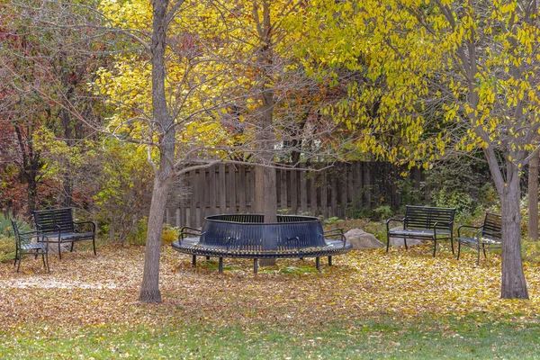 Empty benches at a park under lush trees with bright foliage in autumn