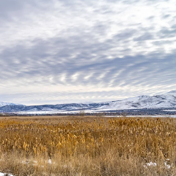 Square Terreno cubierto de nieve y hierba con una impresionante montaña cubierta de nieve en la distancia —  Fotos de Stock