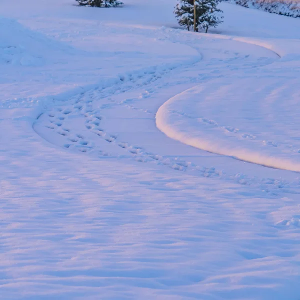 Clear Square Percorso e terreno coperto di neve durante l'inverno in Eagle Mountain Utah — Foto Stock