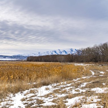 Açık Kare Karlı ve çimenli arazi ile çarpıcı bir kar kaplı dağ mesafe