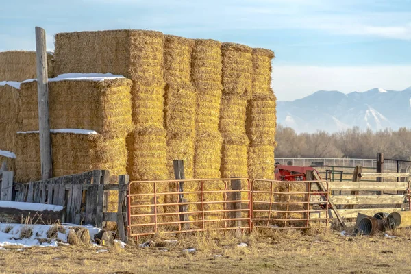 Bloques de heno amontonados dentro de un área vallada en una granja en Eagle Mountain Utah — Foto de Stock