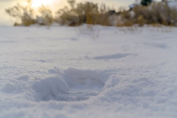 Закрытие следа на порошкообразном белом снегу, покрывающем землю — стоковое фото