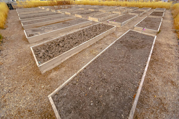 Rows of raised wooden garden beds with faucets and filled with coarse brown soil