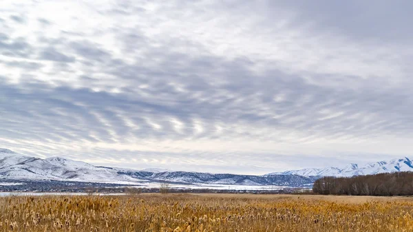 Panorama Terreno innevato ed erboso con una suggestiva montagna innevata in lontananza — Foto Stock