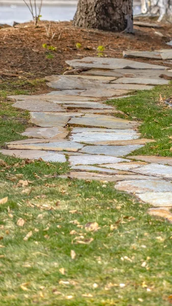 Vertikální nepravidelné kameny, které tvoří cestu na travnatý terén — Stock fotografie