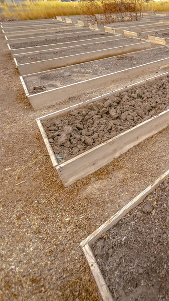 Vertical Rows of raised wooden garden beds with faucets and filled with coarse brown soil