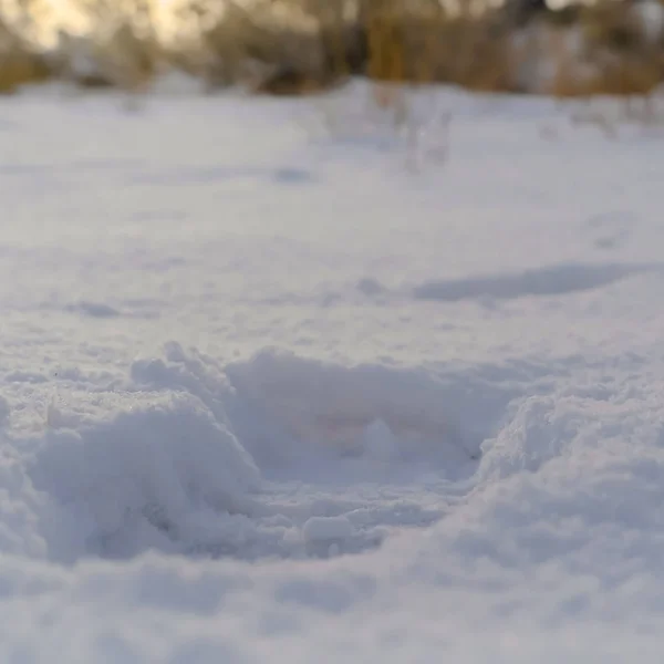 Quadratische Nahaufnahme eines Fußabdrucks, der sich auf den puderweißen Schnee, der den Boden bedeckt, eingeprägt hat — Stockfoto