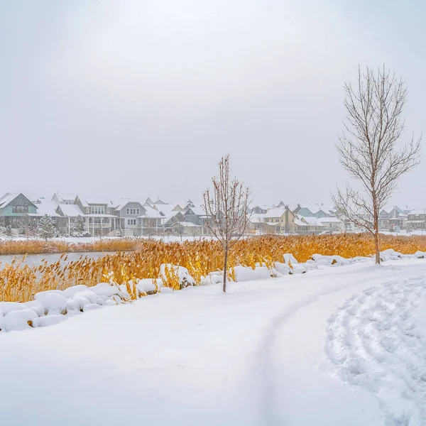 Camino cuadrado claro en la nieve polvorienta a lo largo del lago Oquirrh con vista a las casas y el vasto cielo — Foto de Stock