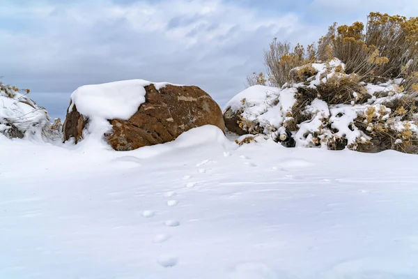 Karla kaplı zeminde hayvan izleri soğuk bir kış gününde görüntülendi