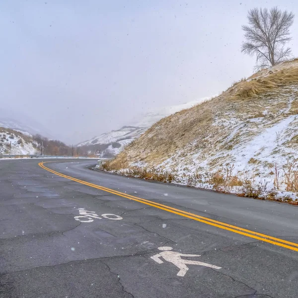 Square Hill road with pedestrian and bicycle lane sign