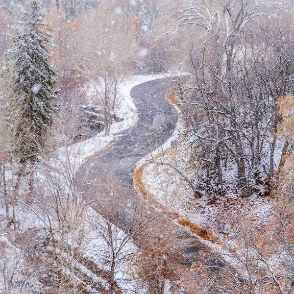 Carretera Clear Square Mountain en un día nevado de invierno en Utah — Foto de Stock