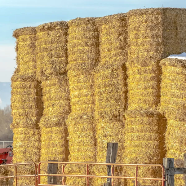 Square Blocks of hay piled inside a fenced area on a farm in Eagle Mountain Utah