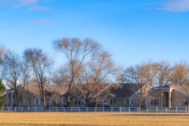 Güneşli bir günde mavi gökyüzü altında büyüleyici evler ve uzun yapraksız ağaçlar