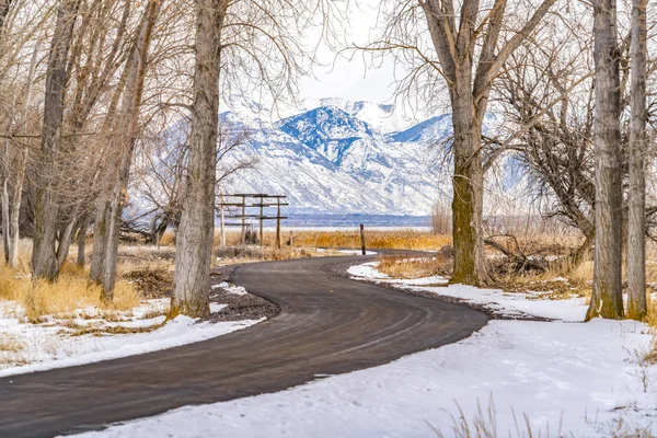 Camino curvo en un terreno cubierto de nieve con árboles altos sin hojas en invierno — Foto de Stock