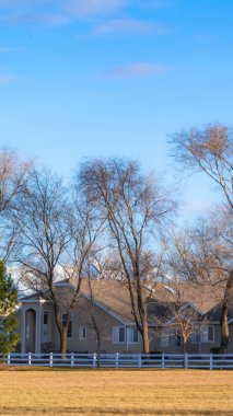 Berrak Dikey Charming evler ve güneşli bir günde mavi gökyüzü altında uzun boylu yapraksız ağaçlar
