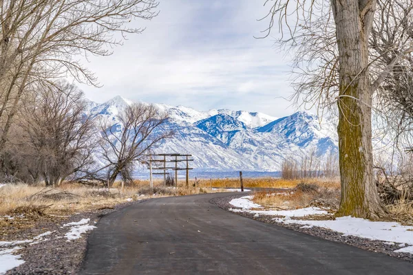 Camino pavimentado en un bosque nevado con árboles de hibernación sin hojas en invierno — Foto de Stock