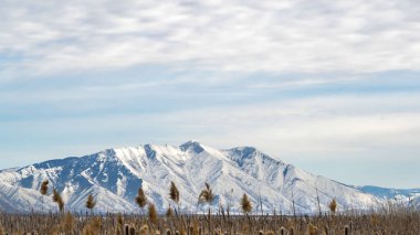 Panorama Kışın karla kaplı engebeli bir dağa karşı Engin çimenli arazi