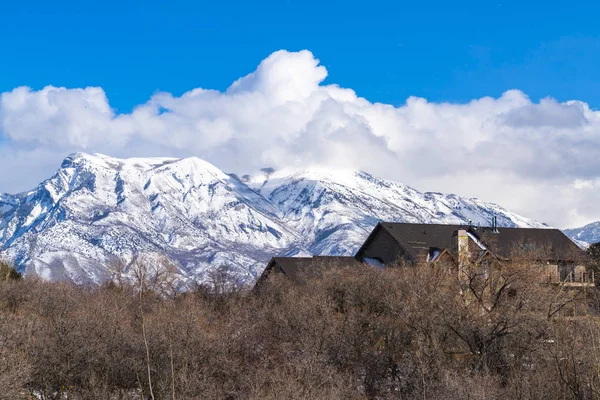 Techo de una casa vista sobre la hilera de árboles hibernados sin hojas en invierno — Foto de Stock