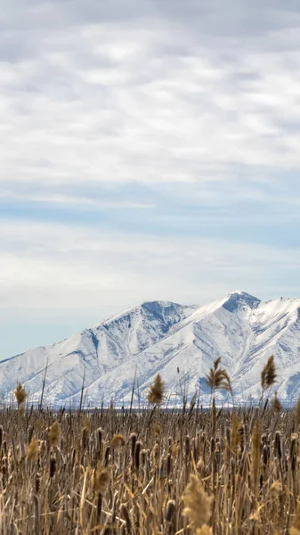 Borrar Vertical Enorme terreno herboso contra una escarpada montaña cubierta de nieve en invierno — Foto de Stock