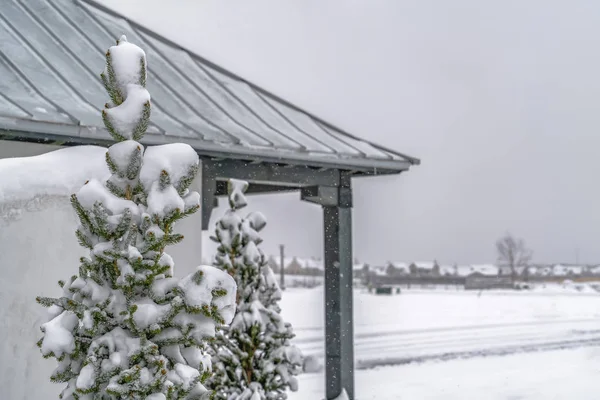 Árbol nevado y pabellón en el amanecer Utah visto en un frío día de invierno — Foto de Stock