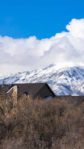 Techo vertical de una casa vista sobre la fila de árboles hibernados sin hojas en invierno — Foto de Stock