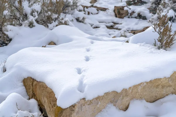 Rocky landscape with footsteps on the snow