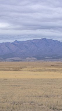 Dikey çerçeve Kabarık bulutlarla dolu bir gökyüzü altında geniş çimenli alanın panoramik görünümü