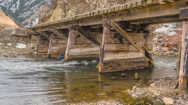 Панорама рама сільський дерев'яний міст з видом на пишні дерева на — стокове фото